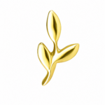 پیرسینگ برگ زیتون - Image 3